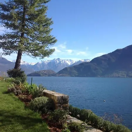 Lakeside Del Pierangelo: Ginko