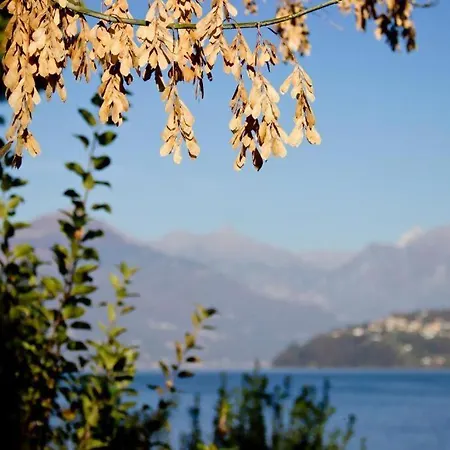 Lakeside Del Pierangelo Ginko Appartamento