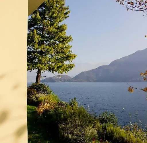 Lakeside Del Pierangelo: Ginko