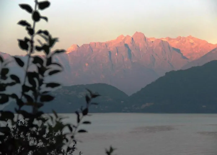 Lakeside Del Pierangelo: Ginko *