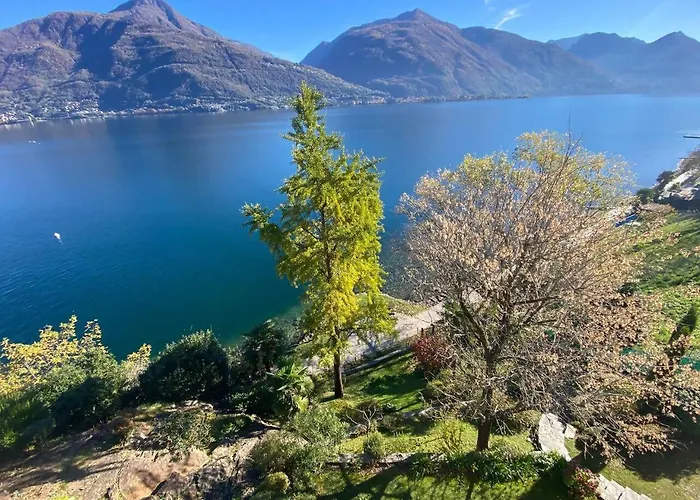 Lakeside Del Pierangelo: Ginko *