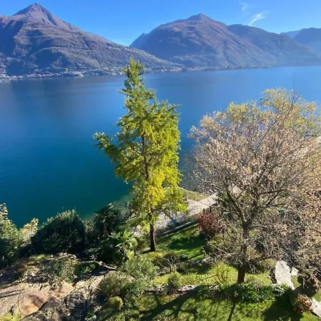 Lakeside Del Pierangelo: Ginko *